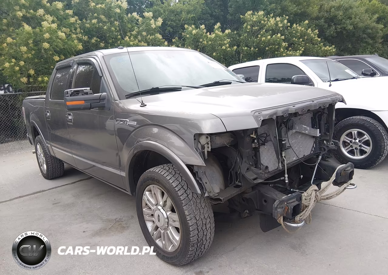 2010 Ford F-150
