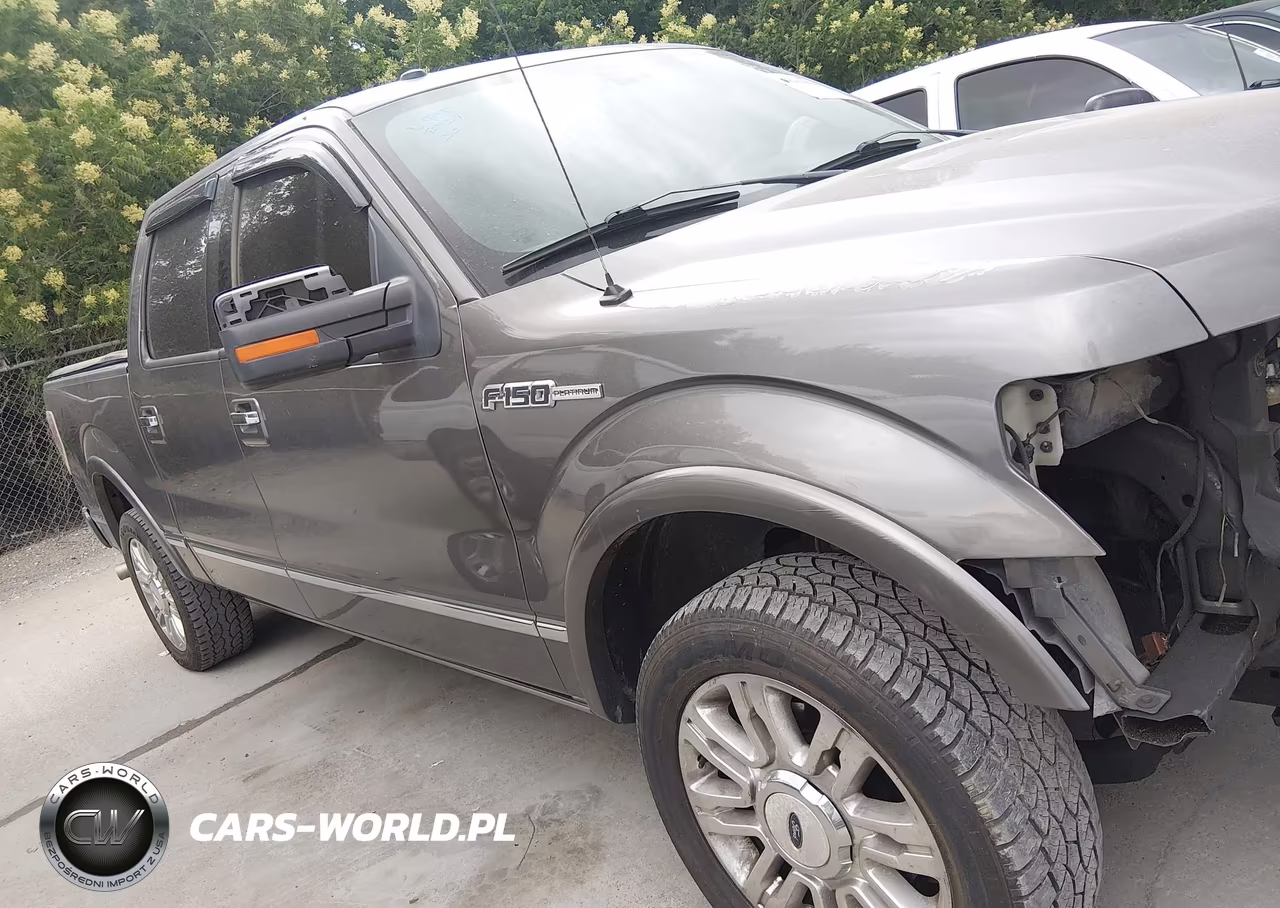 2010 Ford F-150 VIN:1FTFW1EV8AFA40313 - 14