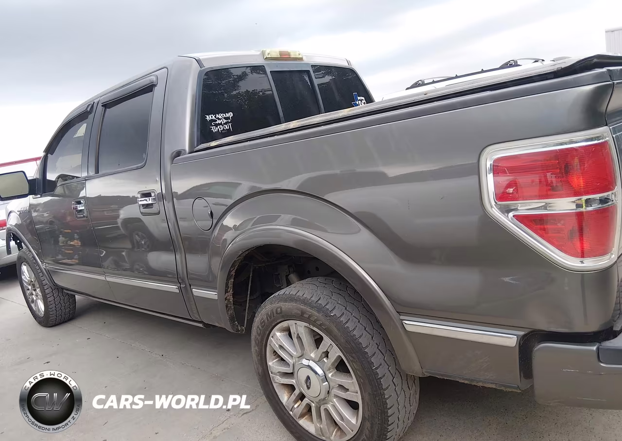 2010 Ford F-150 VIN:1FTFW1EV8AFA40313 - 15