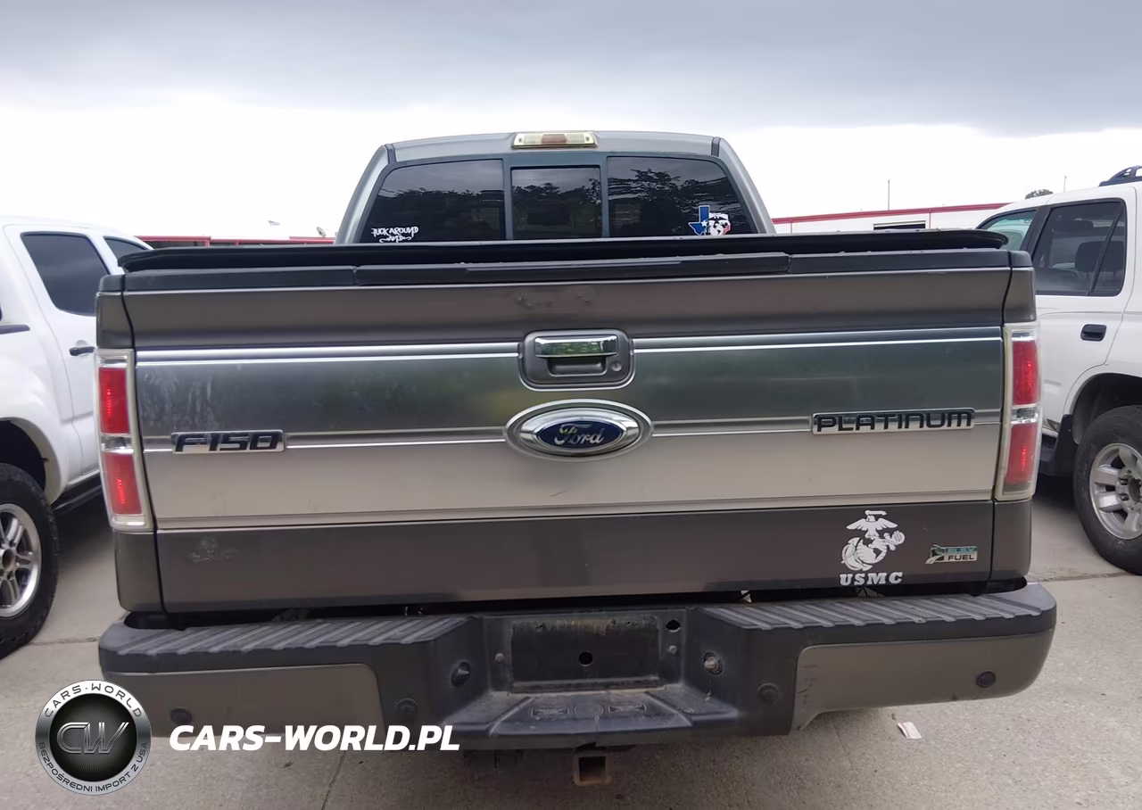 2010 Ford F-150 VIN:1FTFW1EV8AFA40313 - 17