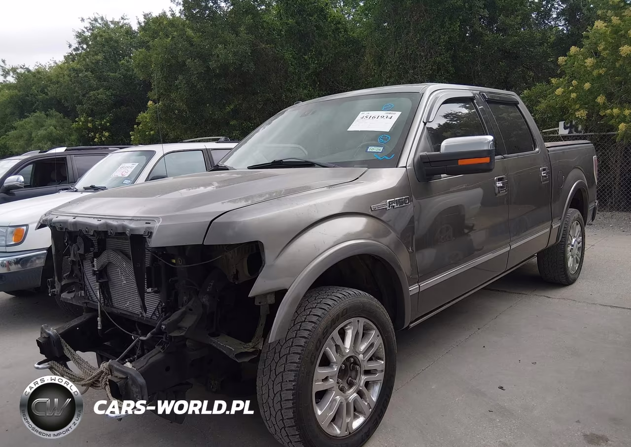 2010 Ford F-150 VIN:1FTFW1EV8AFA40313 - 2
