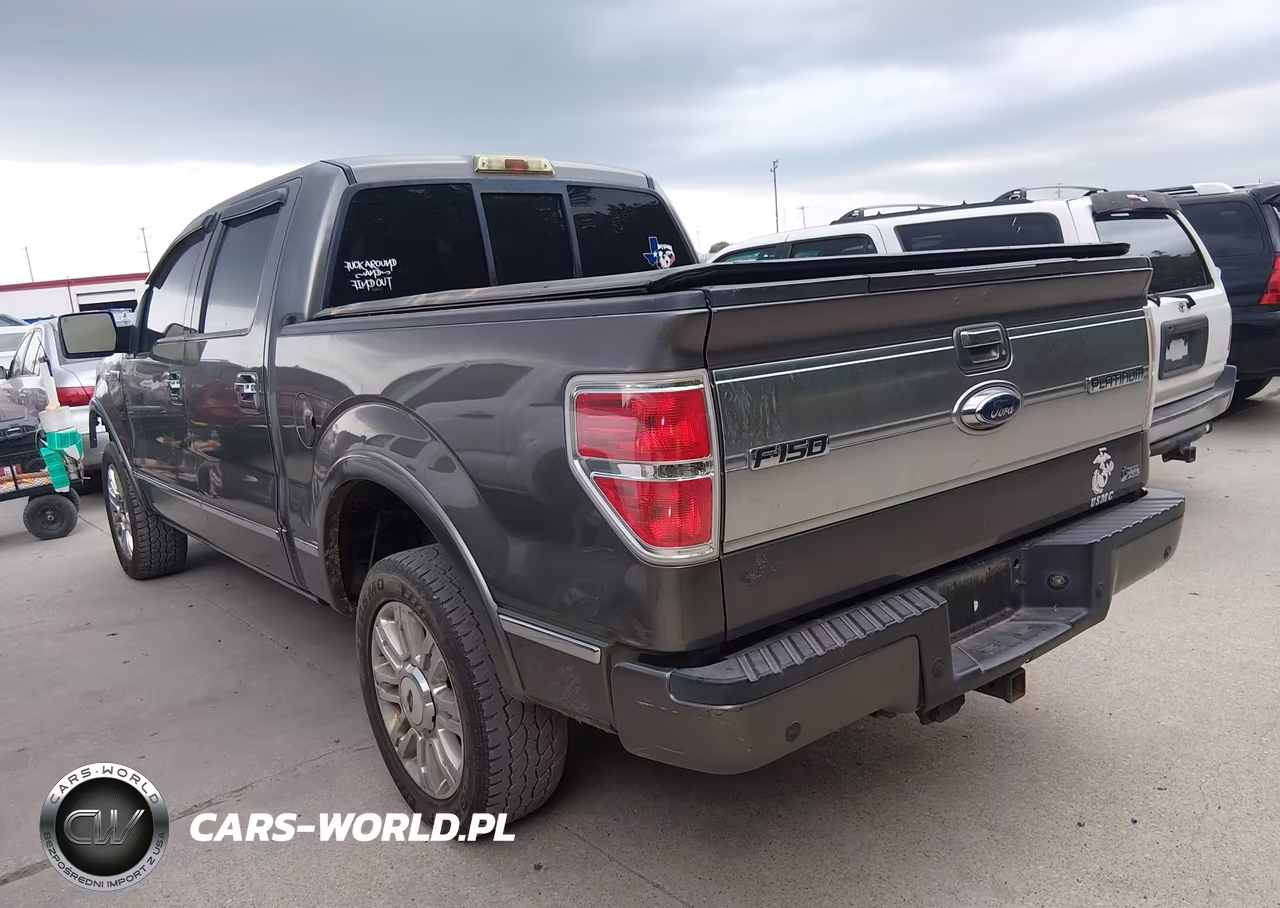 2010 Ford F-150 VIN:1FTFW1EV8AFA40313 - 3