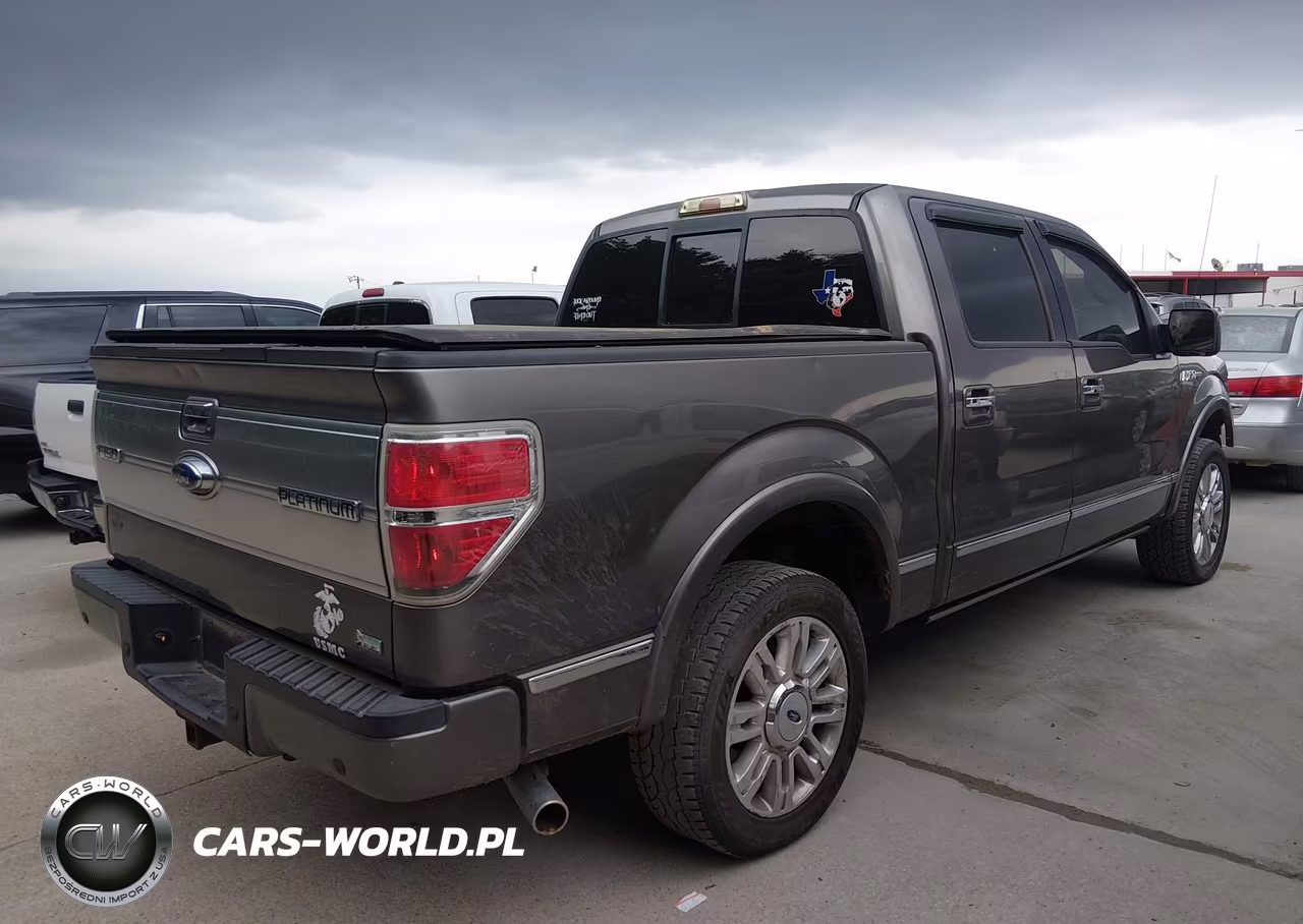 2010 Ford F-150 VIN:1FTFW1EV8AFA40313 - 4