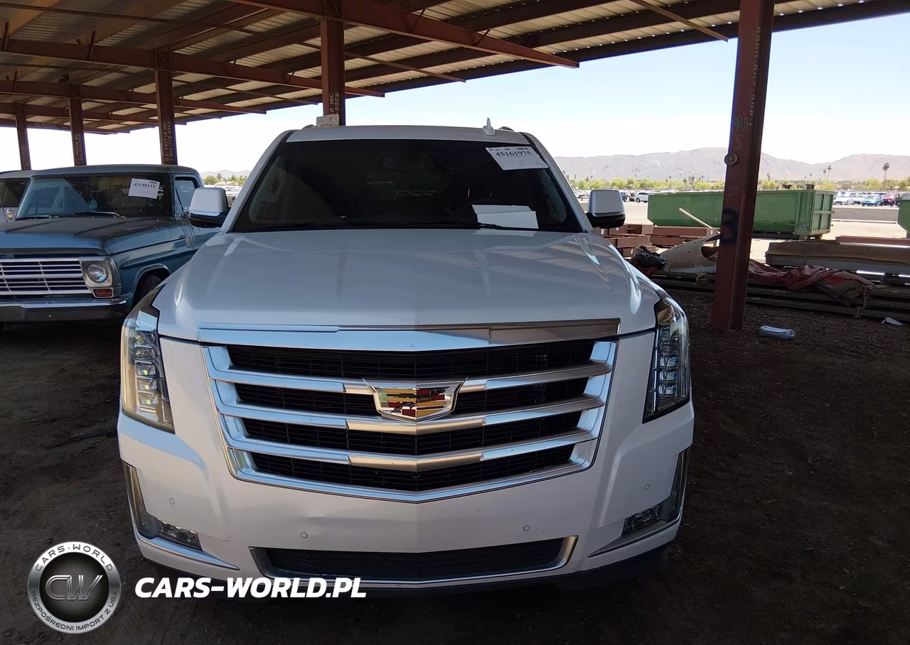 2017 Cadillac Escalade Standard VIN:1GYS4AKJ2HR123468 - 12