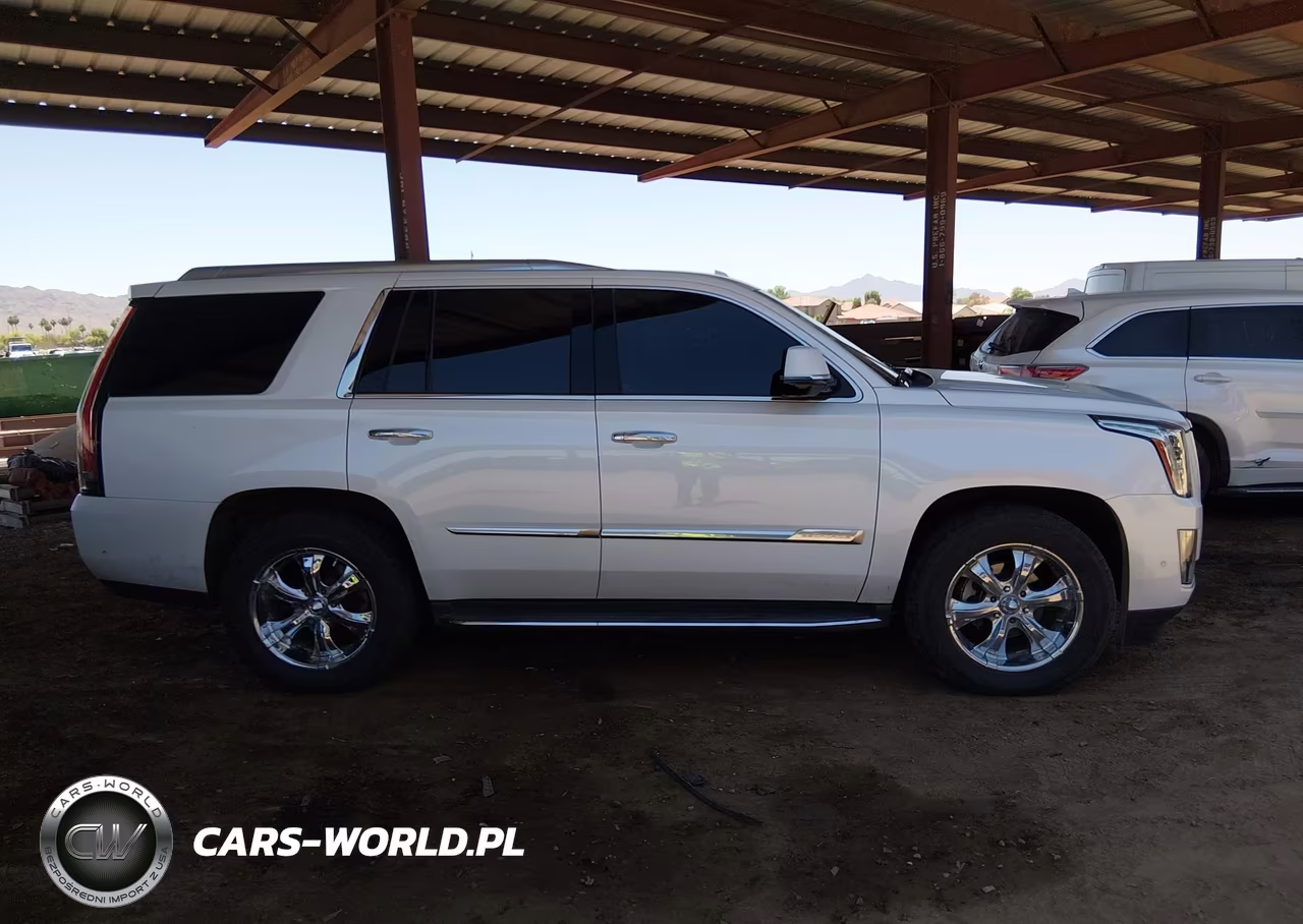 2017 Cadillac Escalade Standard VIN:1GYS4AKJ2HR123468 - 13