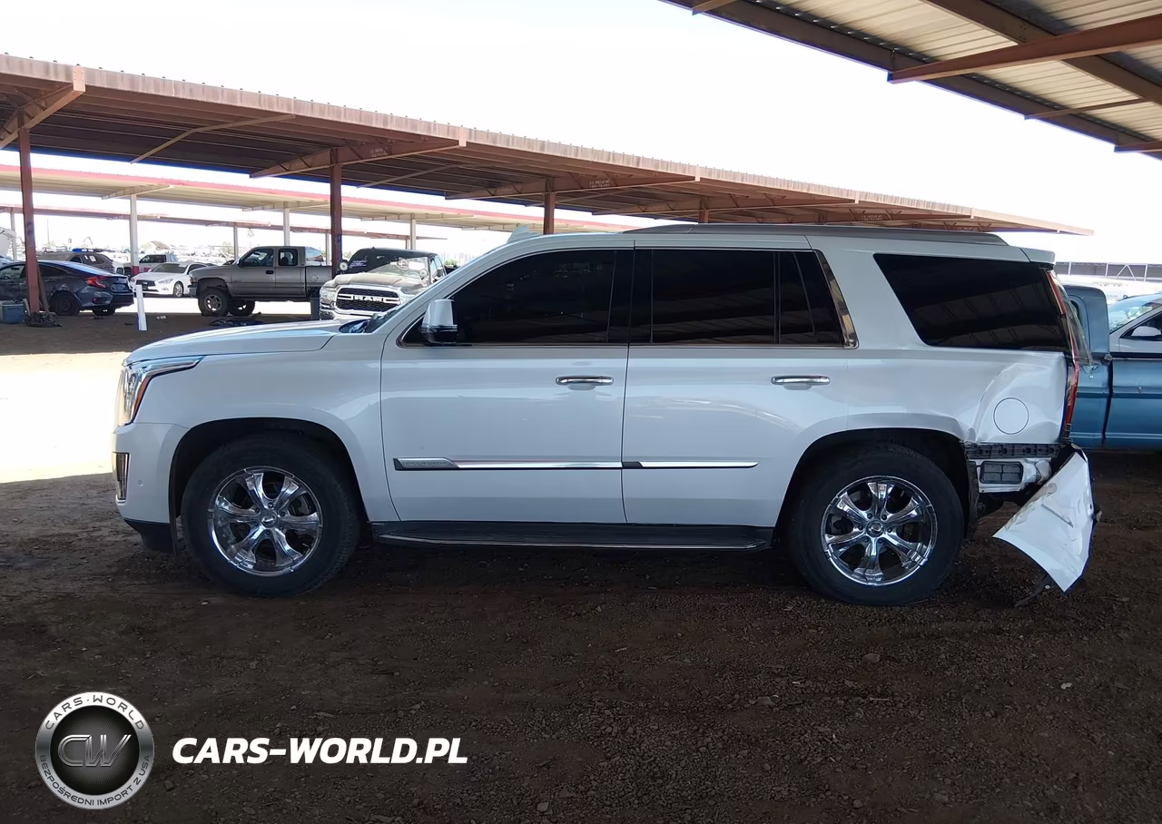 2017 Cadillac Escalade Standard VIN:1GYS4AKJ2HR123468 - 14