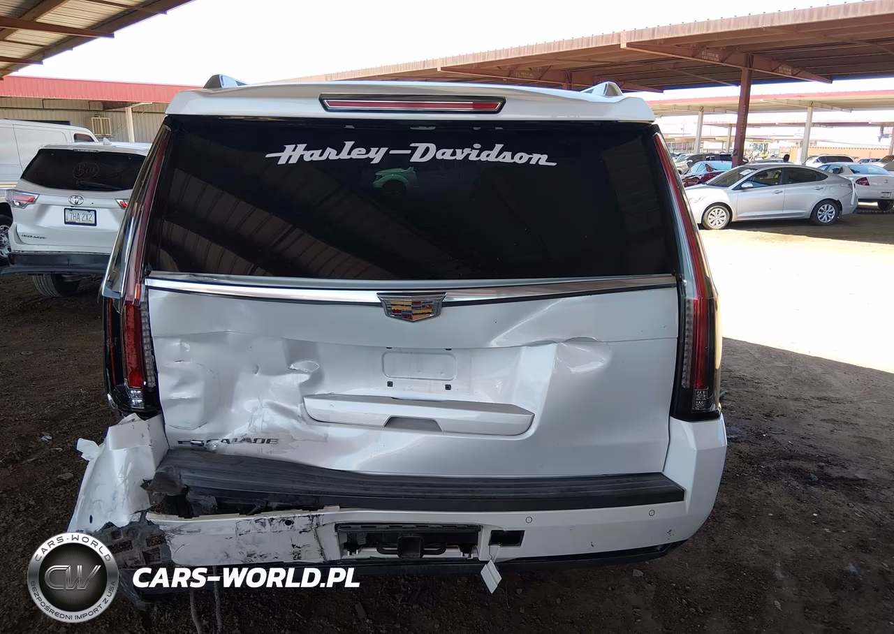2017 Cadillac Escalade Standard VIN:1GYS4AKJ2HR123468 - 16