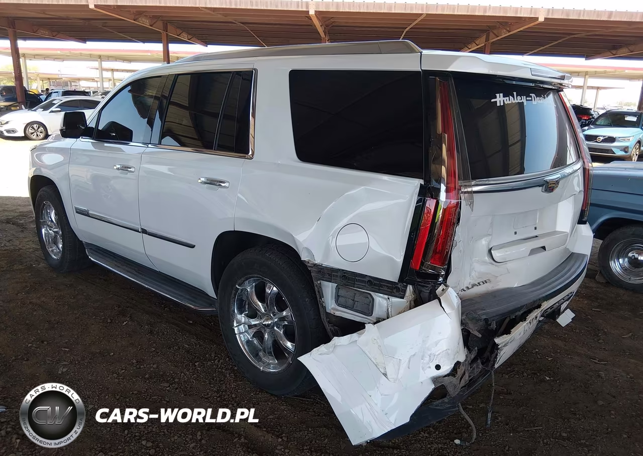 2017 Cadillac Escalade Standard VIN:1GYS4AKJ2HR123468 - 3