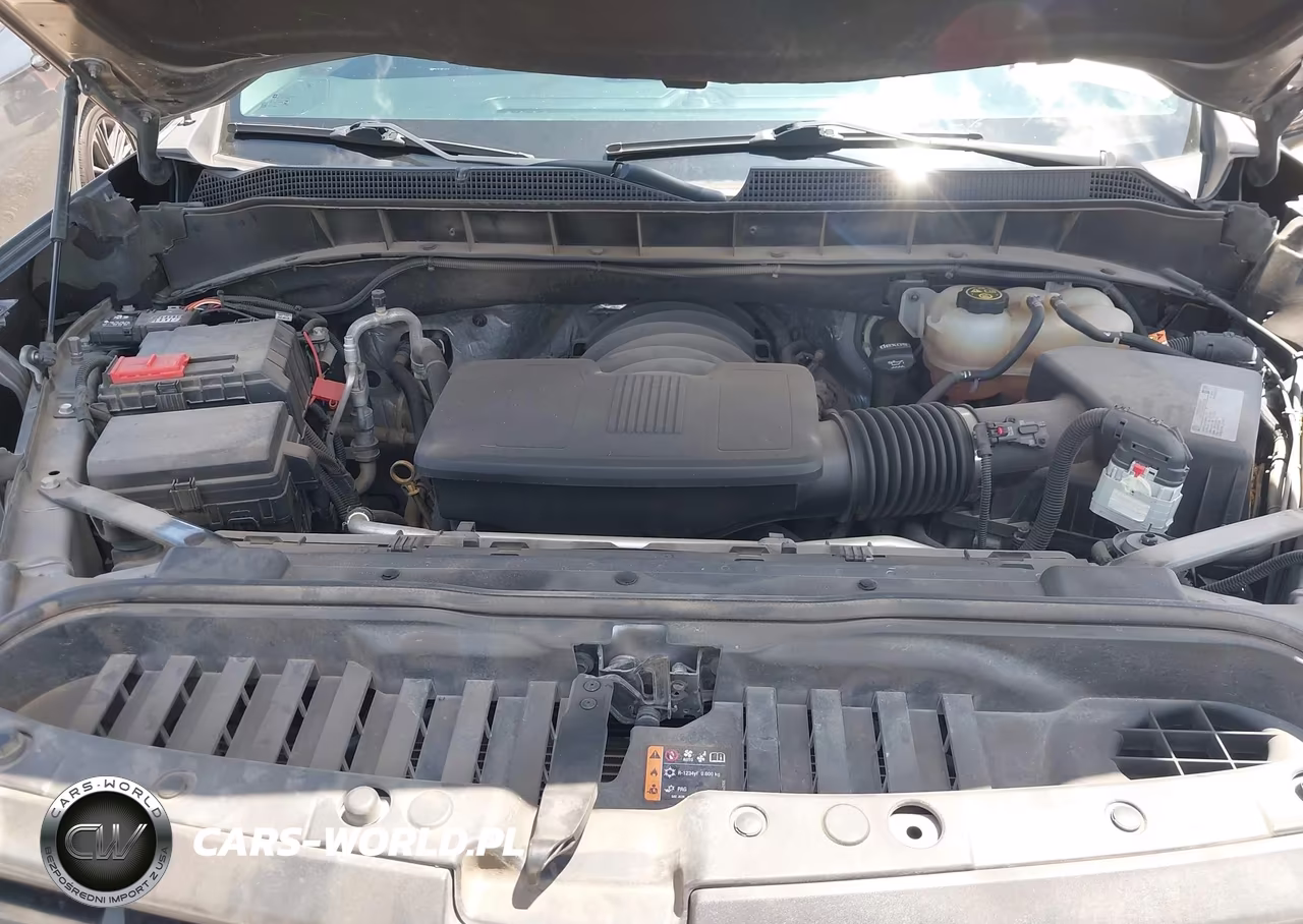 2020 Chevrolet Silverado 1500 4Wd Short Bed Lt Trail Boss VIN:3GCPYFED3LG315235 - 10