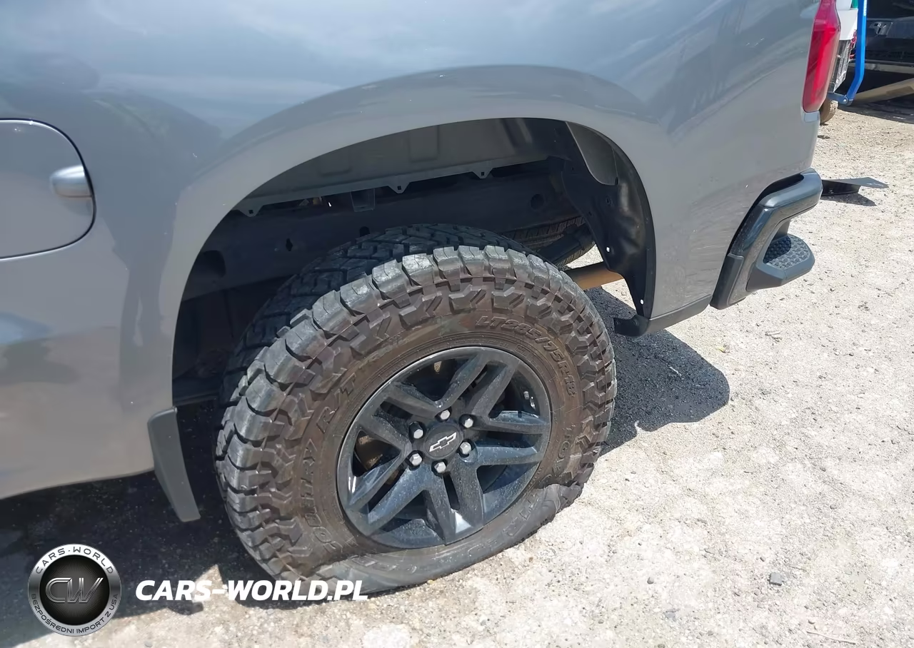 2020 Chevrolet Silverado 1500 4Wd Short Bed Lt Trail Boss VIN:3GCPYFED3LG315235 - 21
