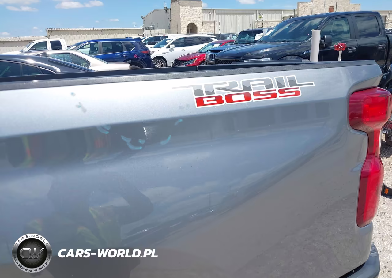 2020 Chevrolet Silverado 1500 4Wd Short Bed Lt Trail Boss VIN:3GCPYFED3LG315235 - 22