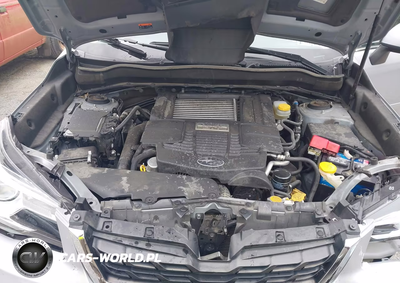 2018 Subaru Forester 2.0Xt Touring VIN:JF2SJGWCXJH558958 - 10