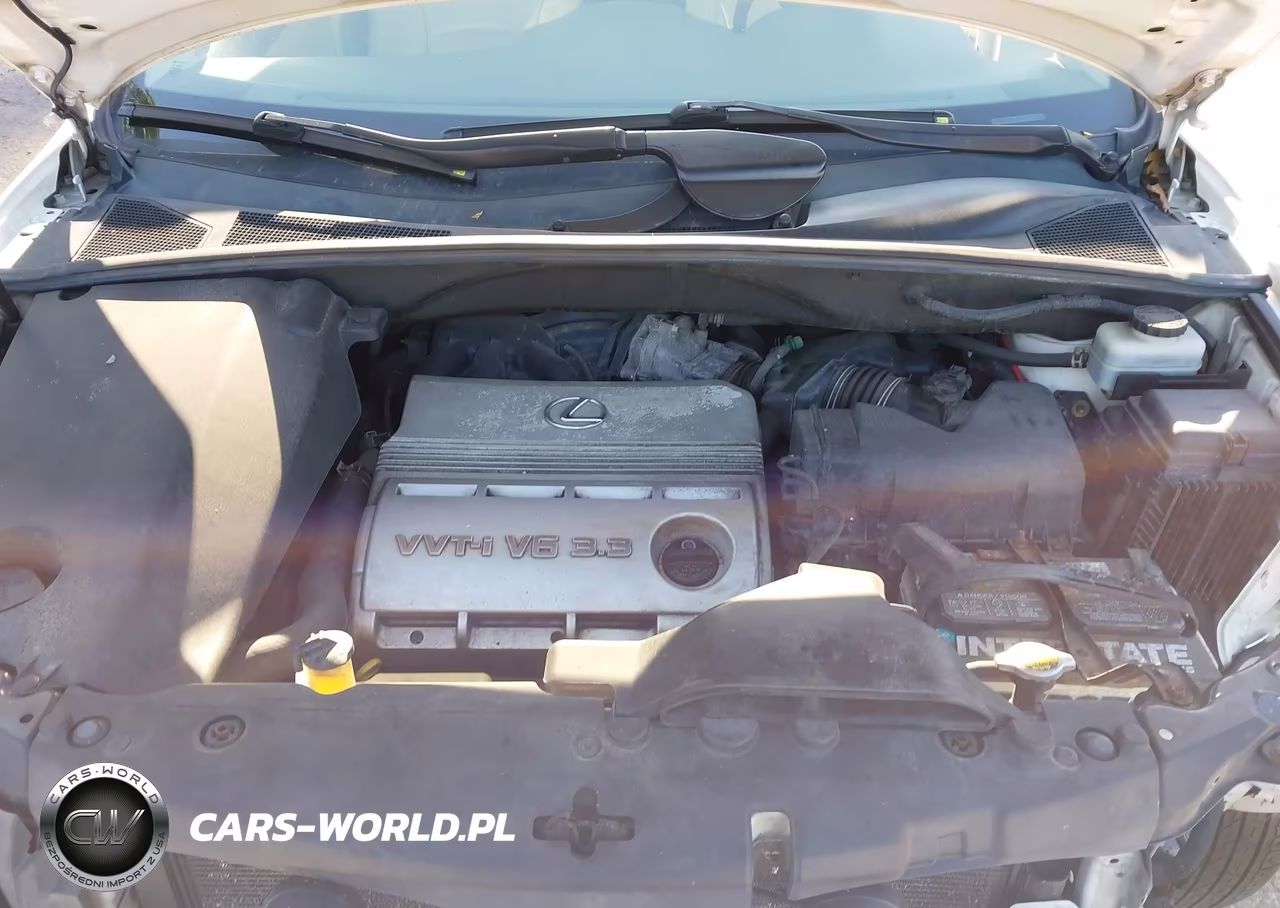2005 Lexus Rx 330 VIN:2T2GA31U95C021968 - 10