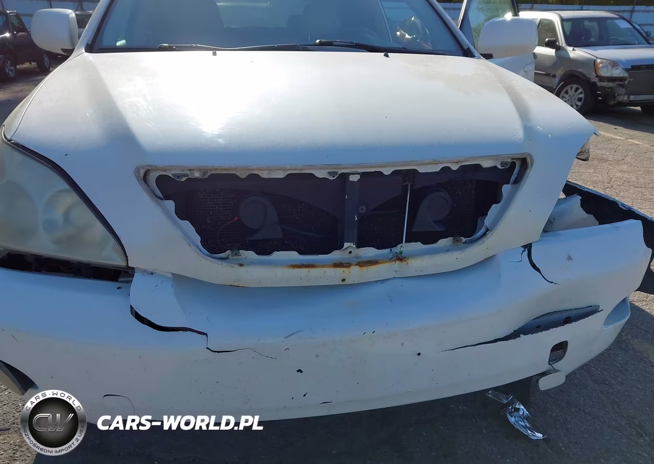 2005 Lexus Rx 330 VIN:2T2GA31U95C021968 - 6