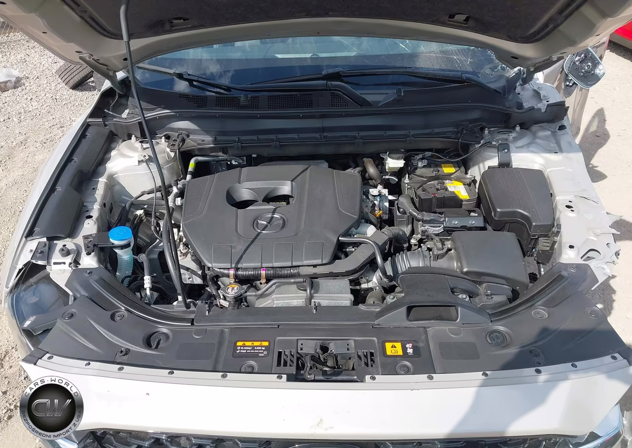 2025 Mazda Cx-5 2.5 S Premium Plus VIN:JM3KFBEMXS0542568 - 10