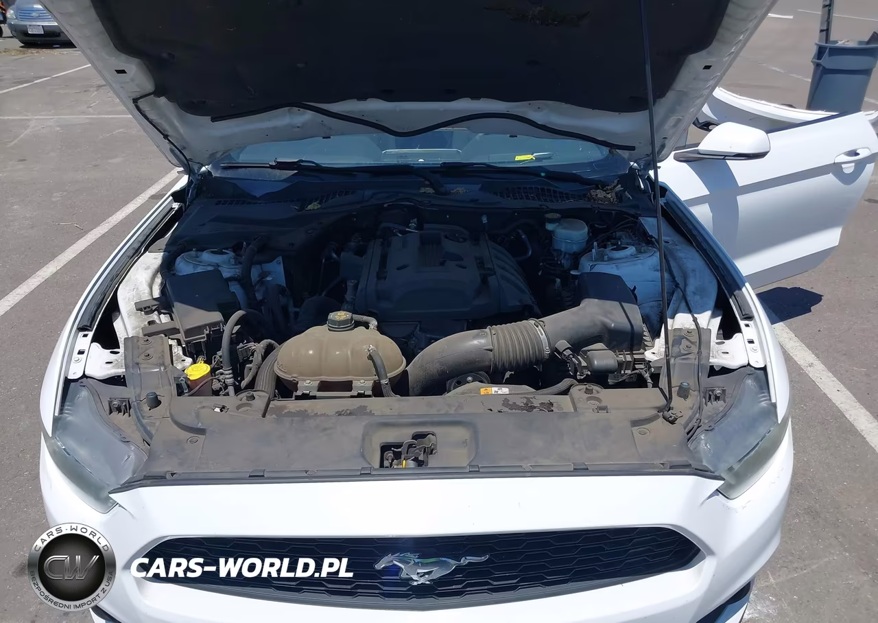 2015 Ford Mustang Ecoboost VIN:1FA6P8TH7F5327048 - 10