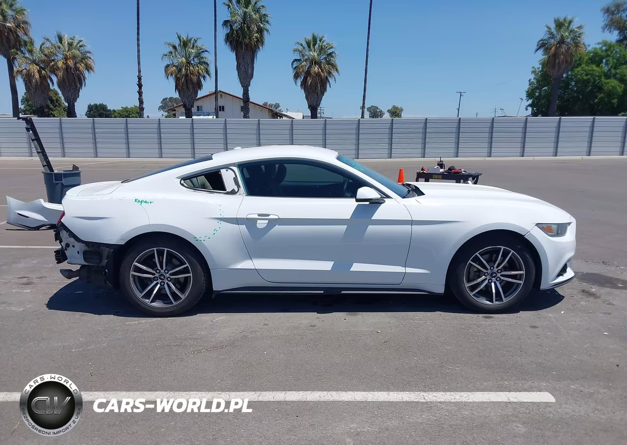 2015 Ford Mustang Ecoboost VIN:1FA6P8TH7F5327048 - 14