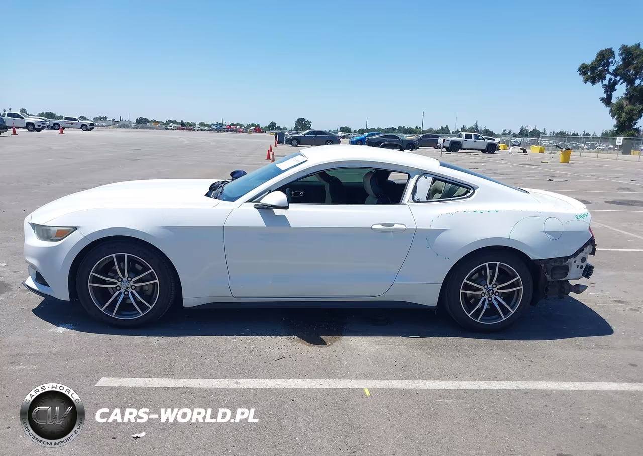 2015 Ford Mustang Ecoboost VIN:1FA6P8TH7F5327048 - 15