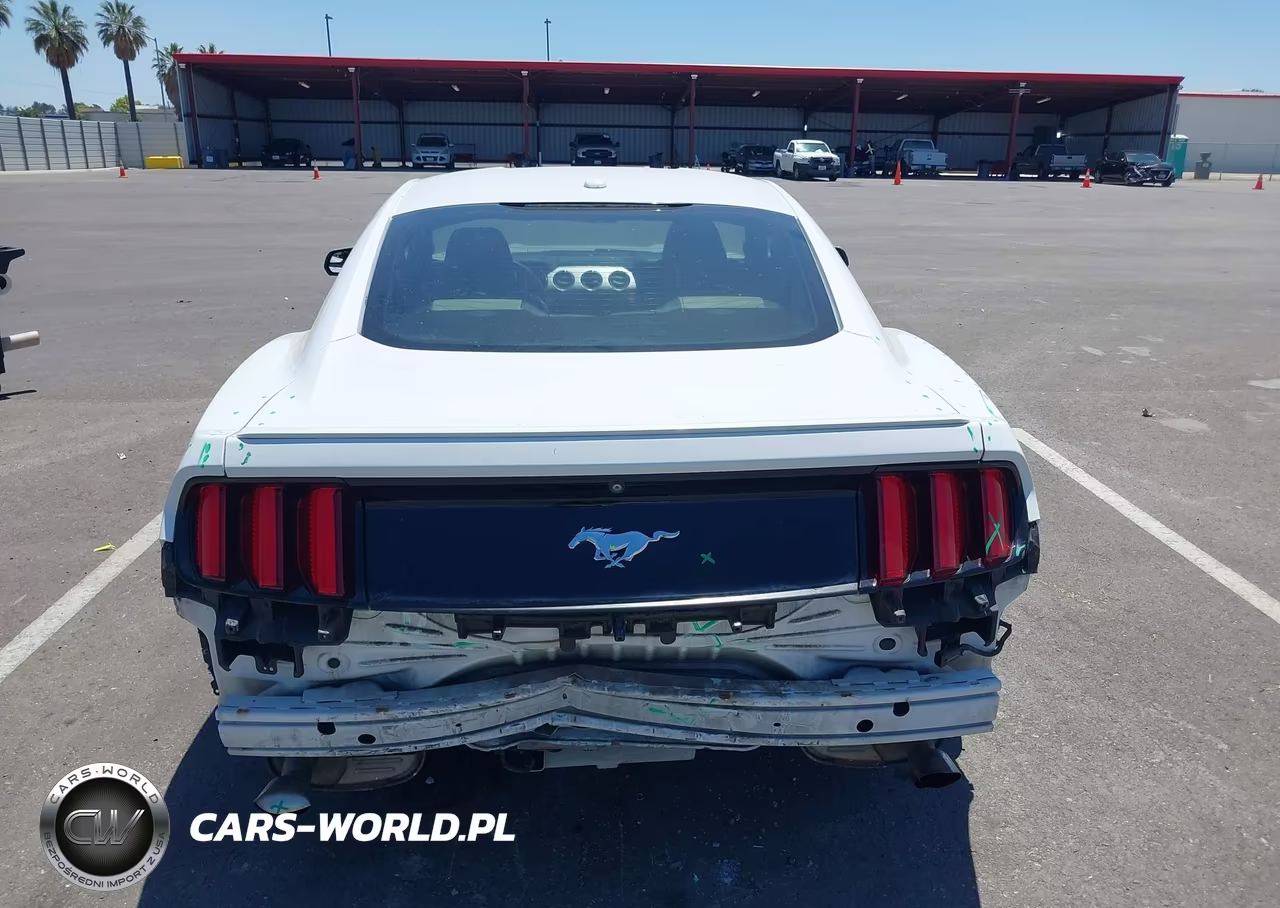 2015 Ford Mustang Ecoboost VIN:1FA6P8TH7F5327048 - 17