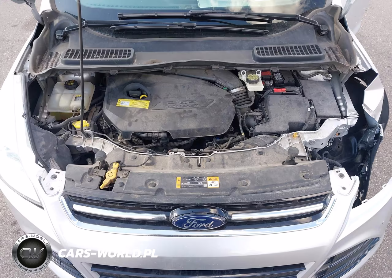 2013 Ford Escape Sel VIN:1FMCU0HX1DUB08527 - 10