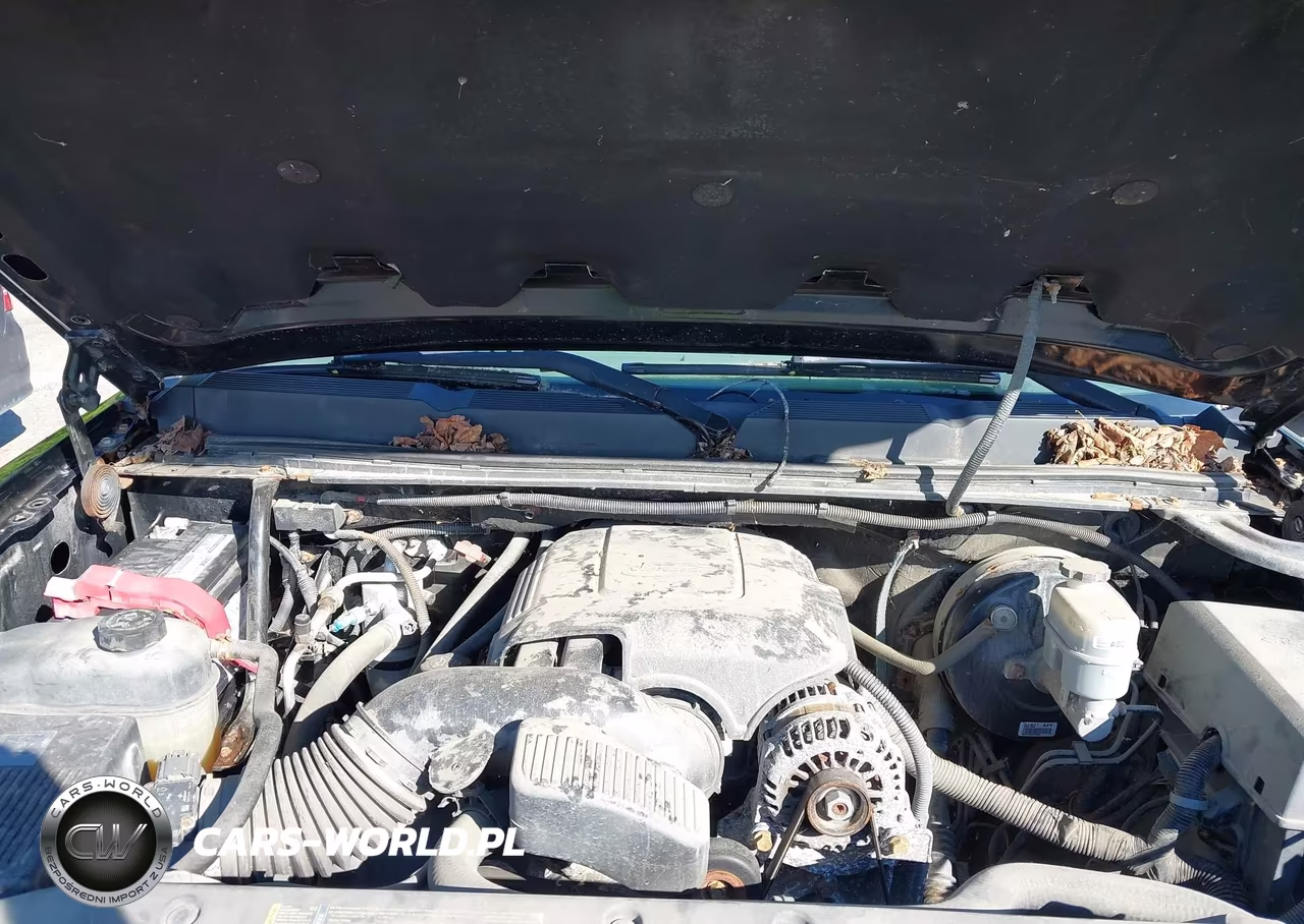 2009 Chevrolet Silverado 1500 Ls-Work Truck VIN:1GCEK19CX9Z256139 - 10