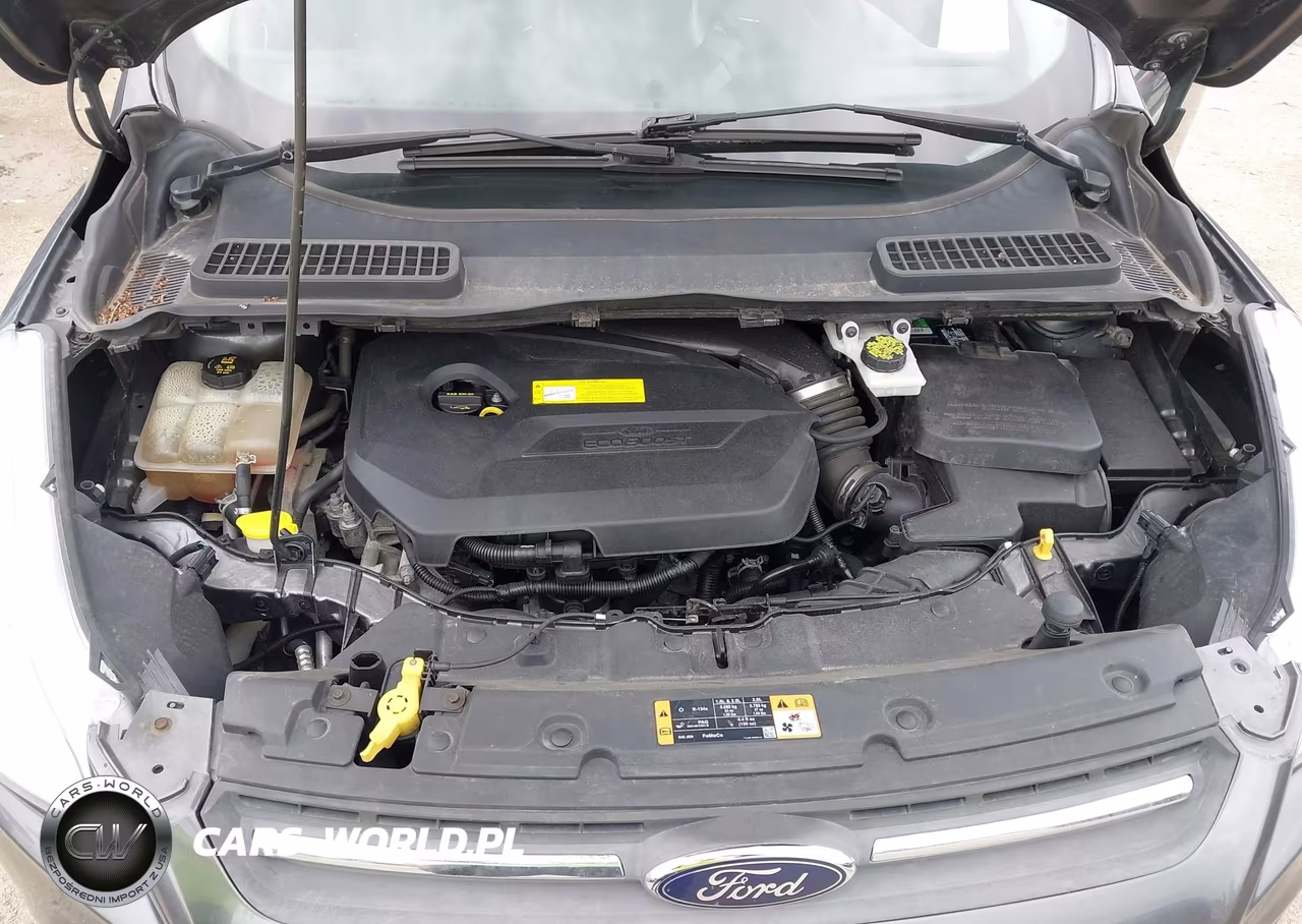 2016 Ford Escape Se VIN:1FMCU0GX3GUB81565 - 10
