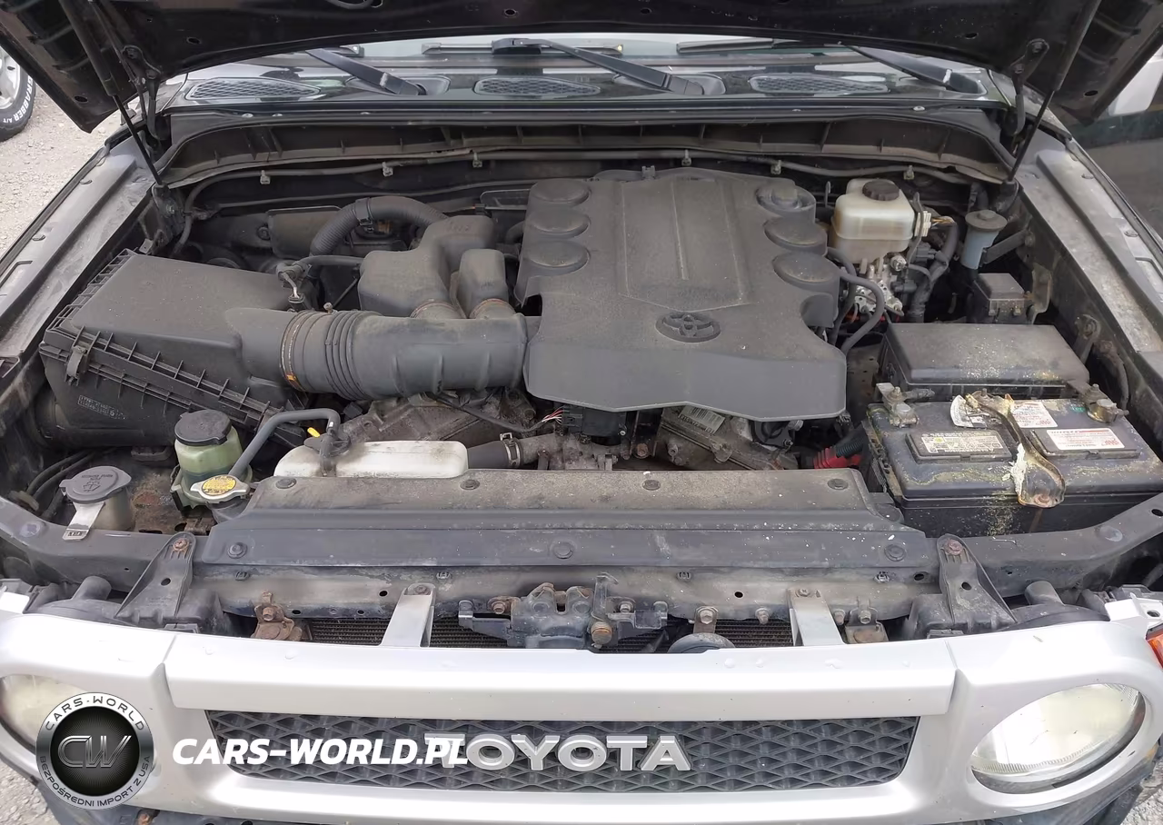 2010 Toyota Fj Cruiser VIN:JTEBU4BF8AK072748 - 10
