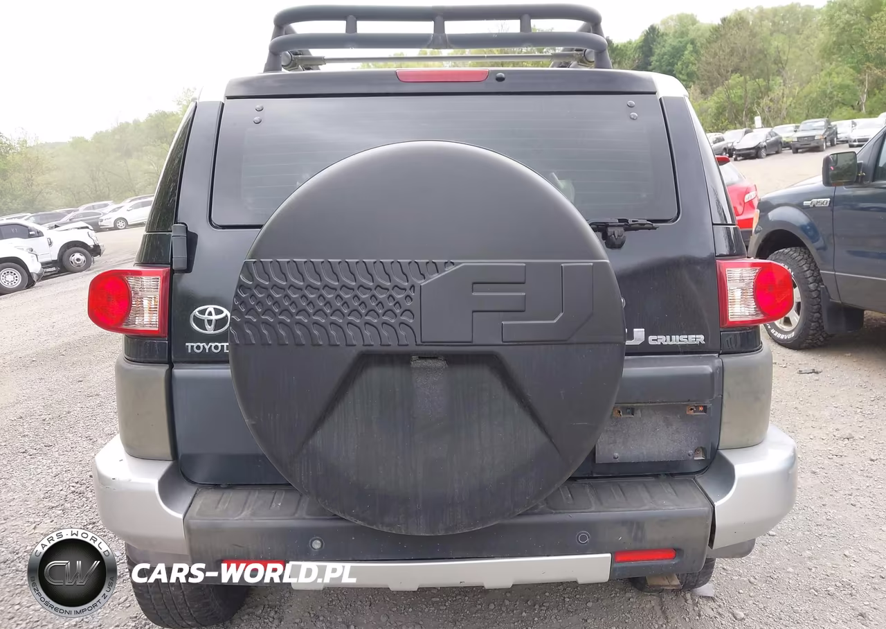2010 Toyota Fj Cruiser VIN:JTEBU4BF8AK072748 - 16