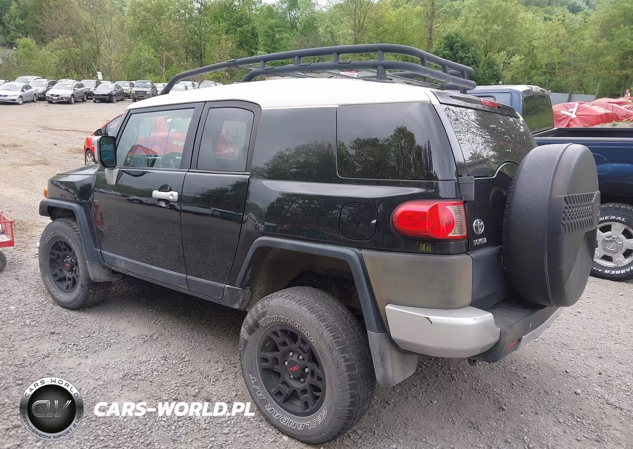 2010 Toyota Fj Cruiser VIN:JTEBU4BF8AK072748 - 3