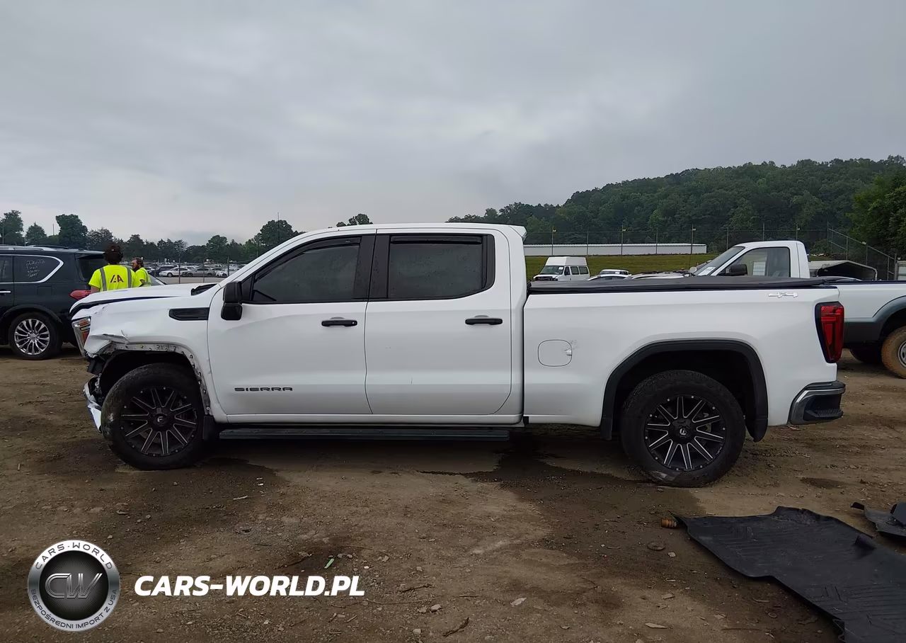 2020 GMC Sierra 1500 4Wd Standard Box VIN:3GTP9AEH7LG409606 - 13