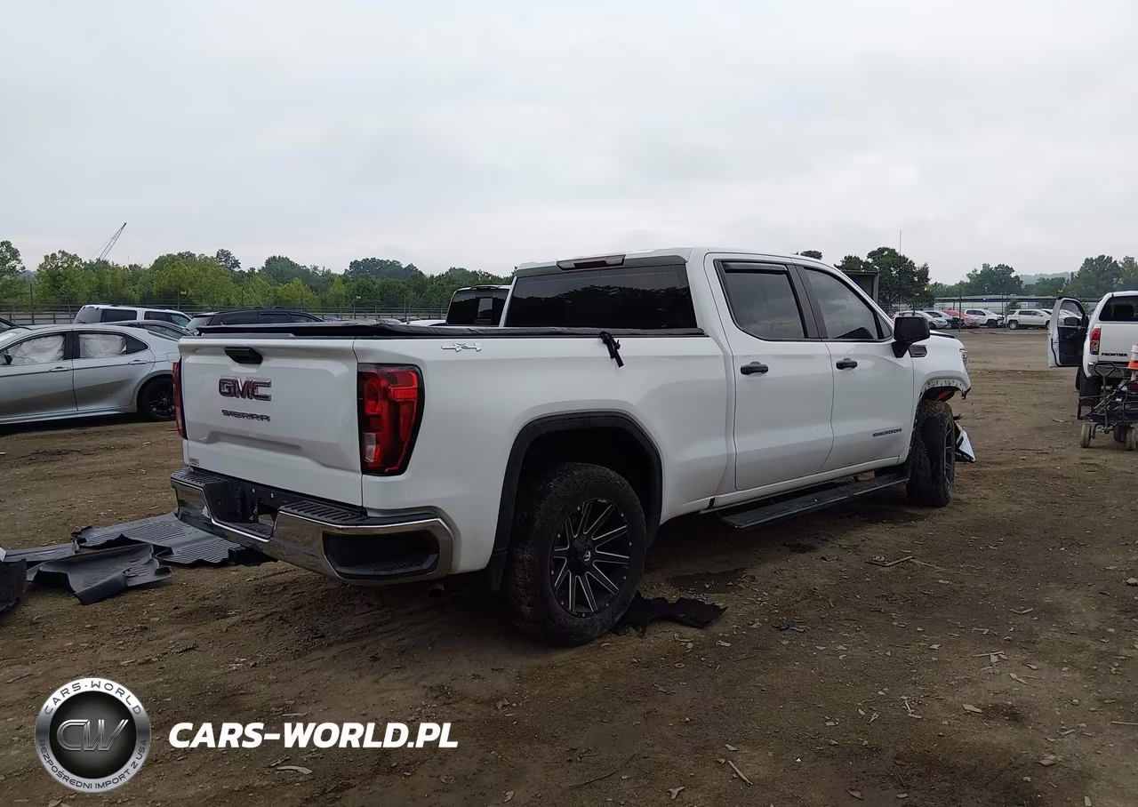 2020 GMC Sierra 1500 4Wd Standard Box VIN:3GTP9AEH7LG409606 - 4