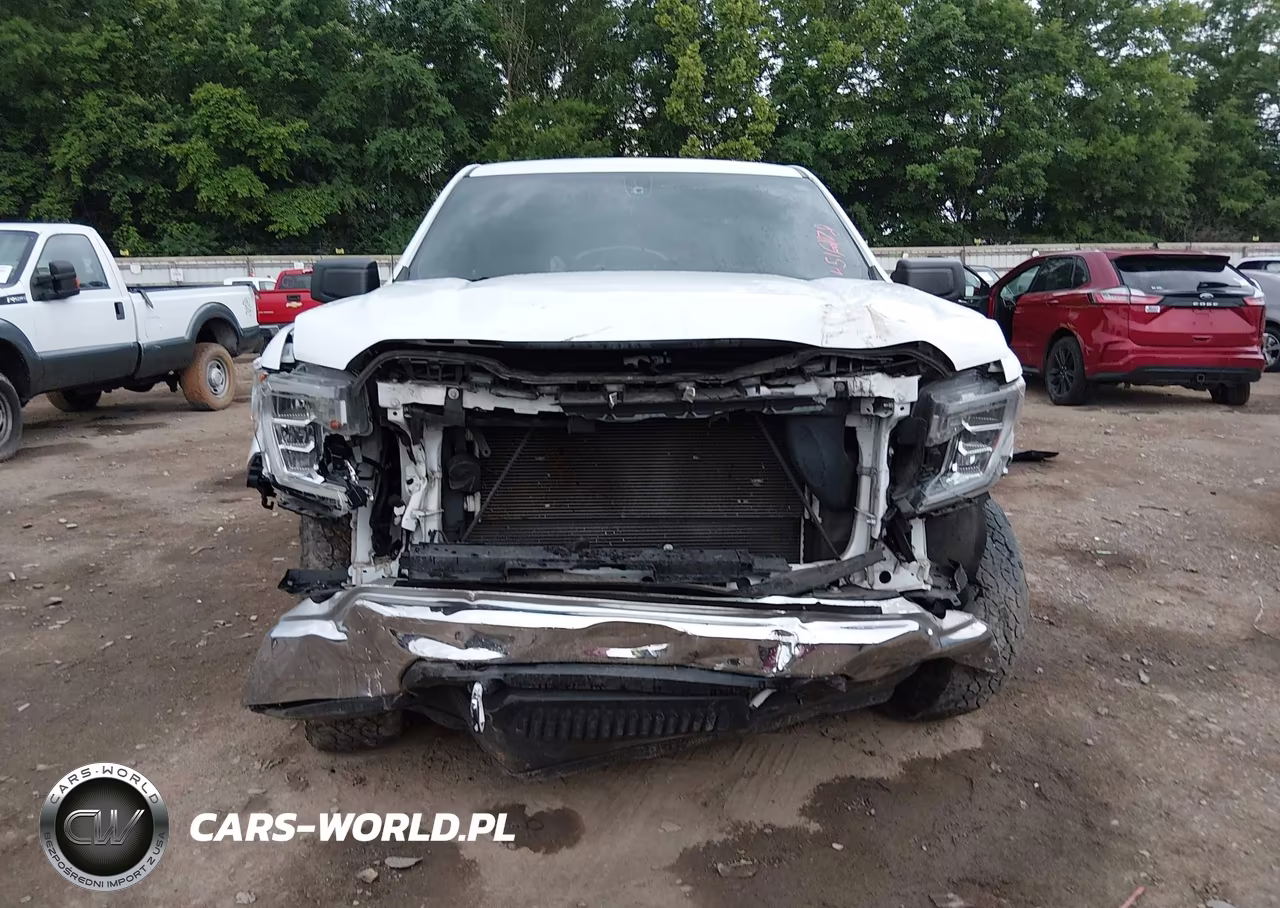 2020 GMC Sierra 1500 4Wd Standard Box VIN:3GTP9AEH7LG409606 - 6