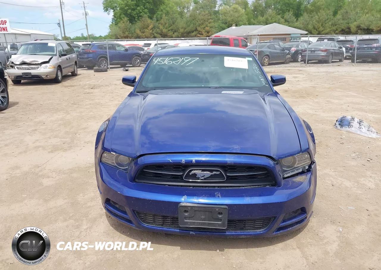 2014 Ford Mustang V6 Premium VIN:1ZVBP8AM7E5246314 - 12