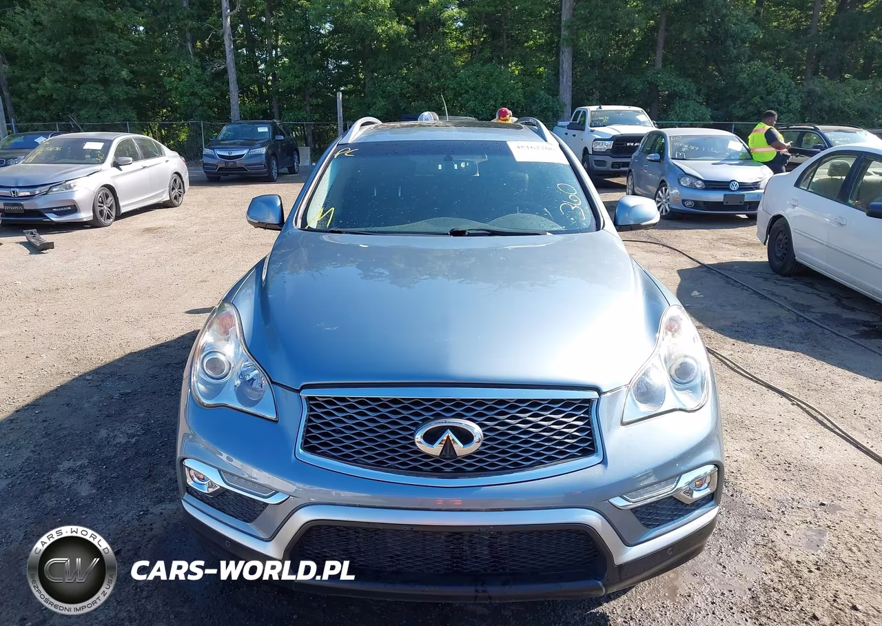 2017 Infiniti Qx50 VIN:JN1BJ0RP3HM382750 - 12