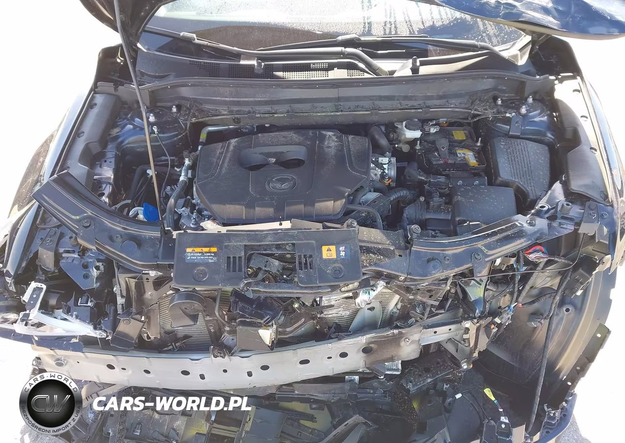 2025 Mazda Cx-5 2.5 S Premium Plus VIN:JM3KFBEM0S0579984 - 10