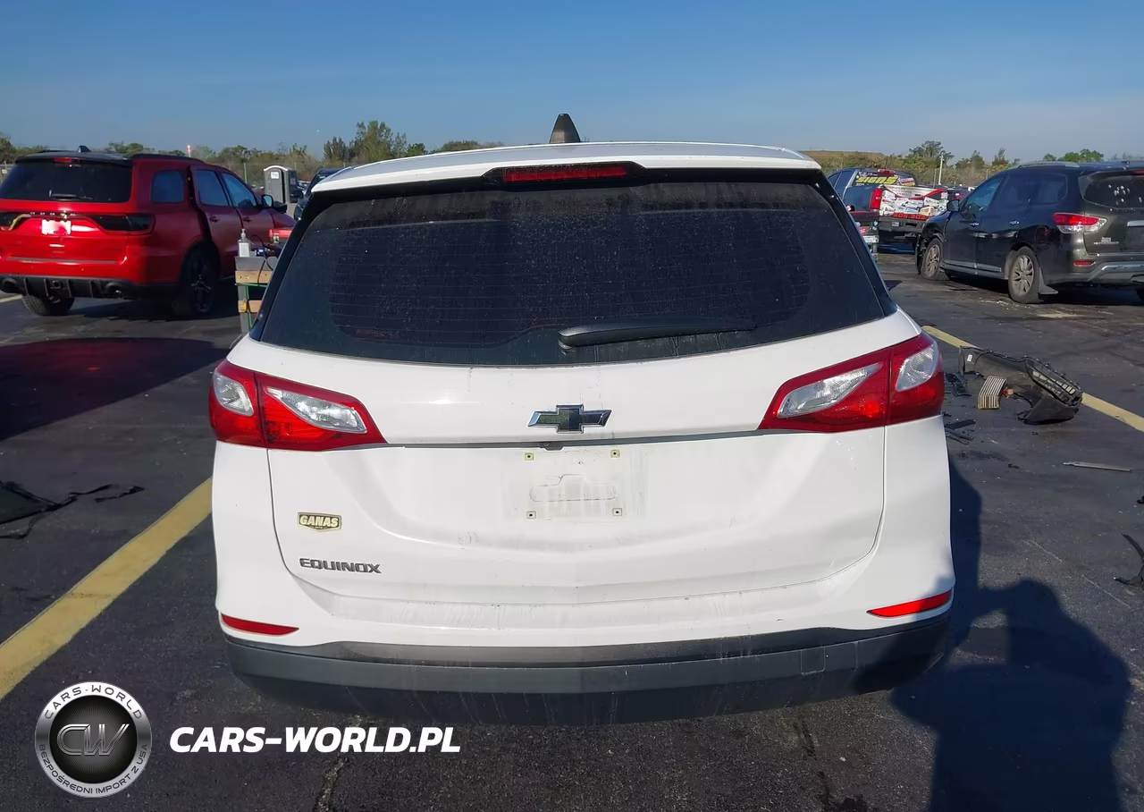 2020 Chevrolet Equinox Fwd Ls VIN:3GNAXHEV6LS693907 - 17