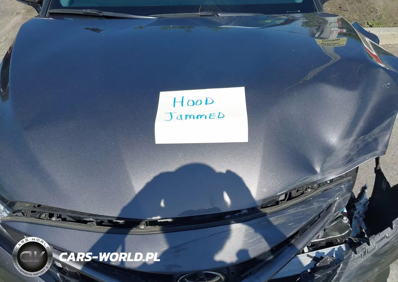 2020 Toyota Camry Xse VIN:4T1K61AK2LU981728 - 10