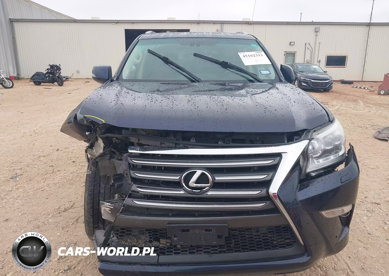 2019 Lexus Gx 460 Premium VIN:JTJBM7FX8K5225537 - 12