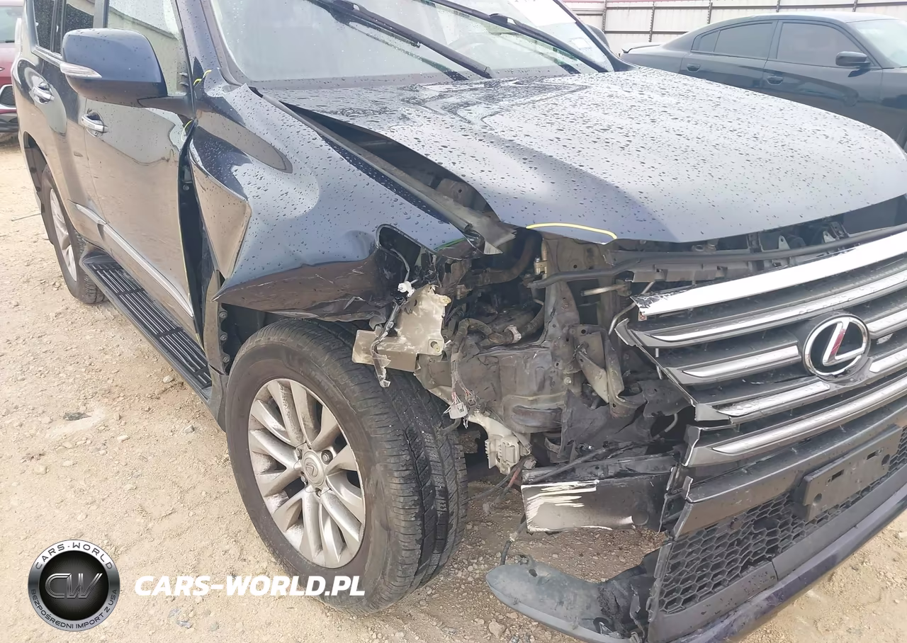 2019 Lexus Gx 460 Premium VIN:JTJBM7FX8K5225537 - 17