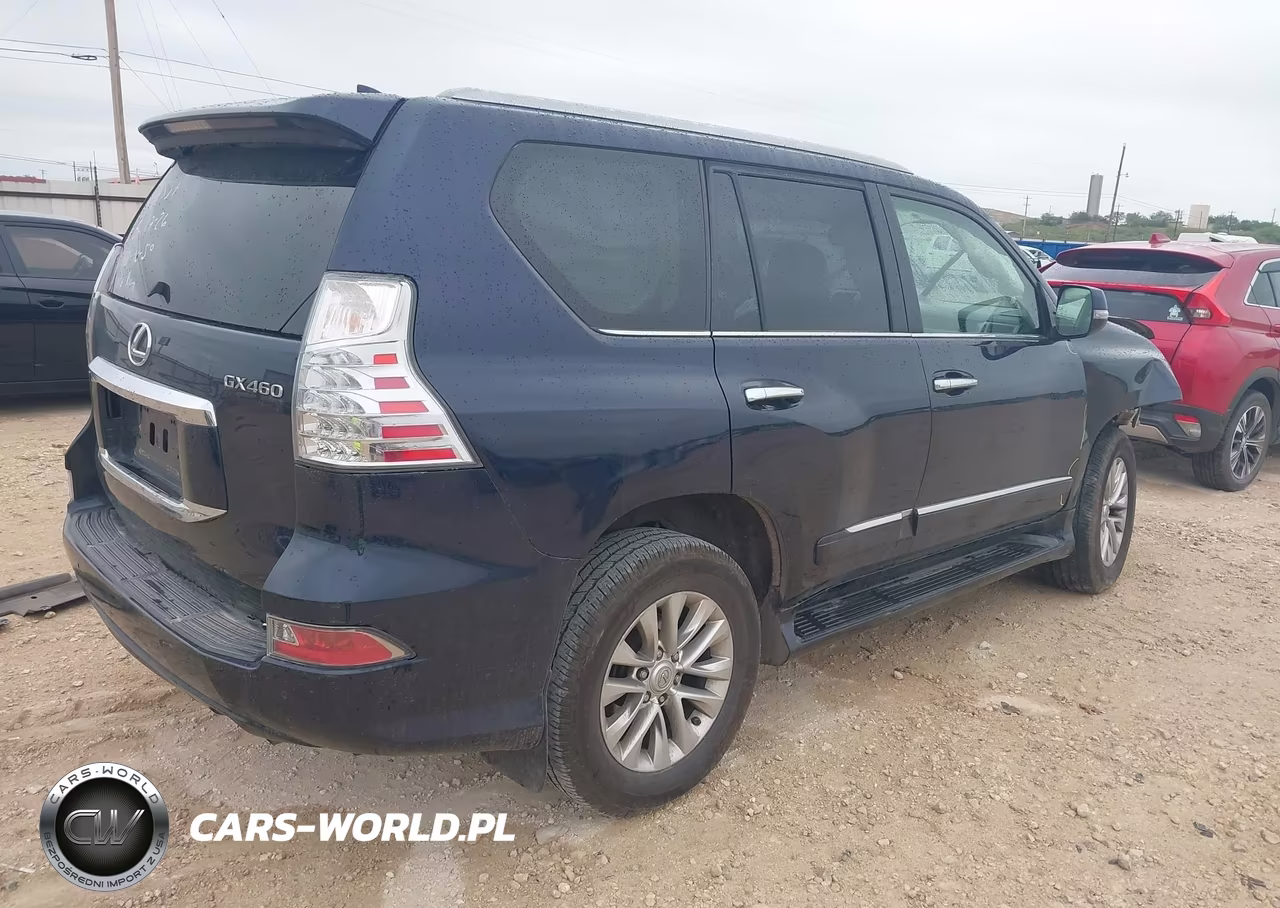 2019 Lexus Gx 460 Premium VIN:JTJBM7FX8K5225537 - 4
