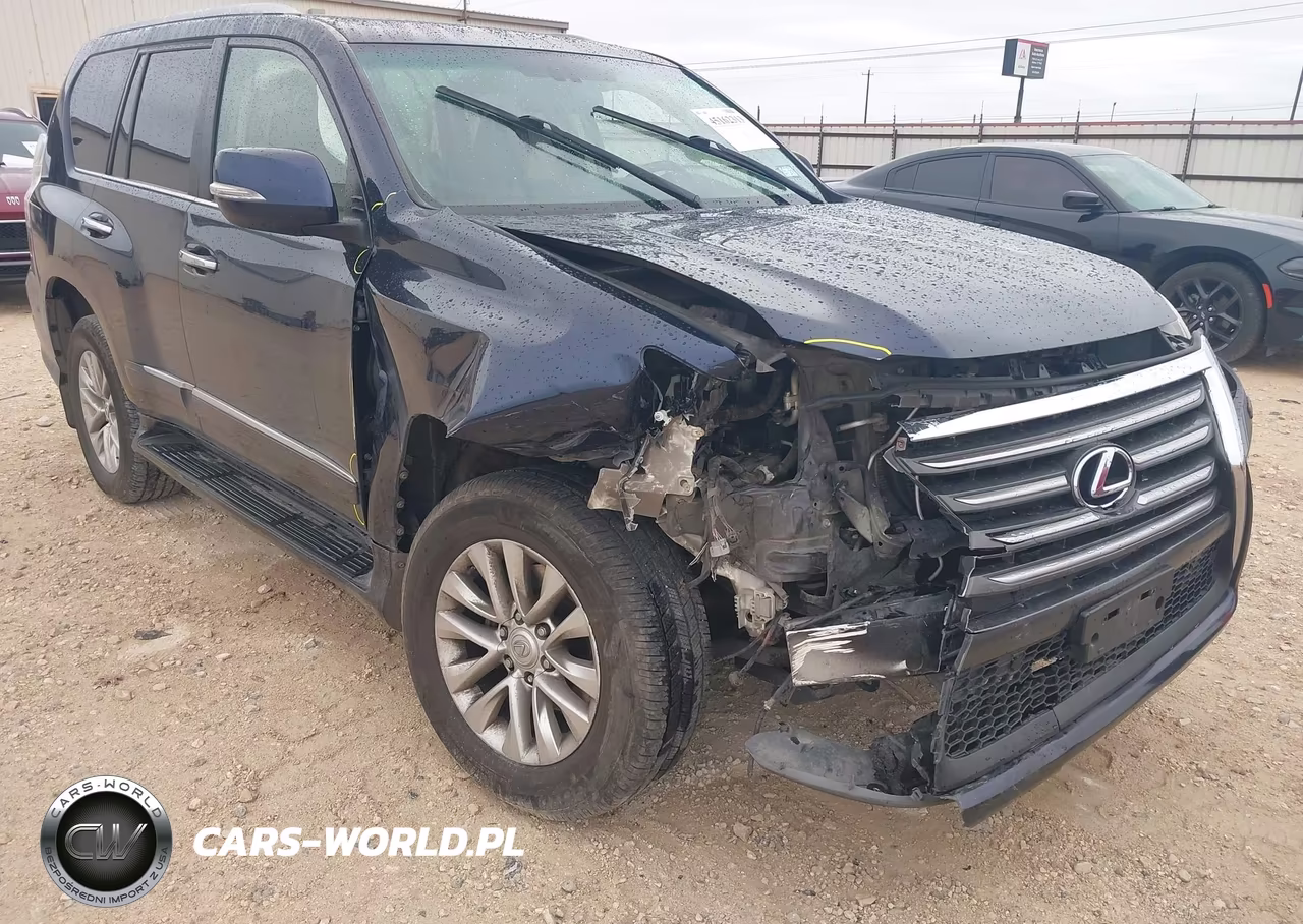 2019 Lexus Gx 460 Premium VIN:JTJBM7FX8K5225537 - 6
