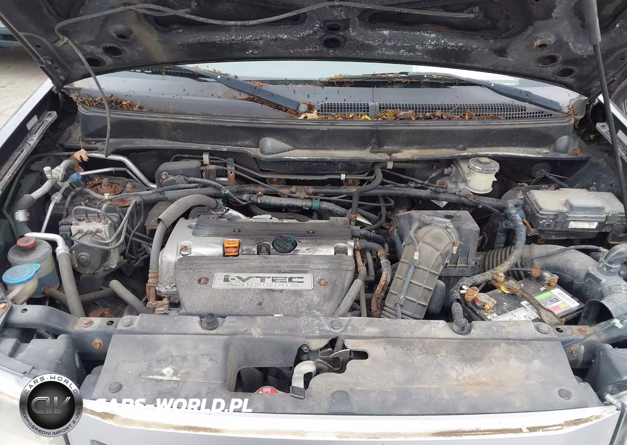2009 Honda Element Ex VIN:5J6YH28729L004713 - 10