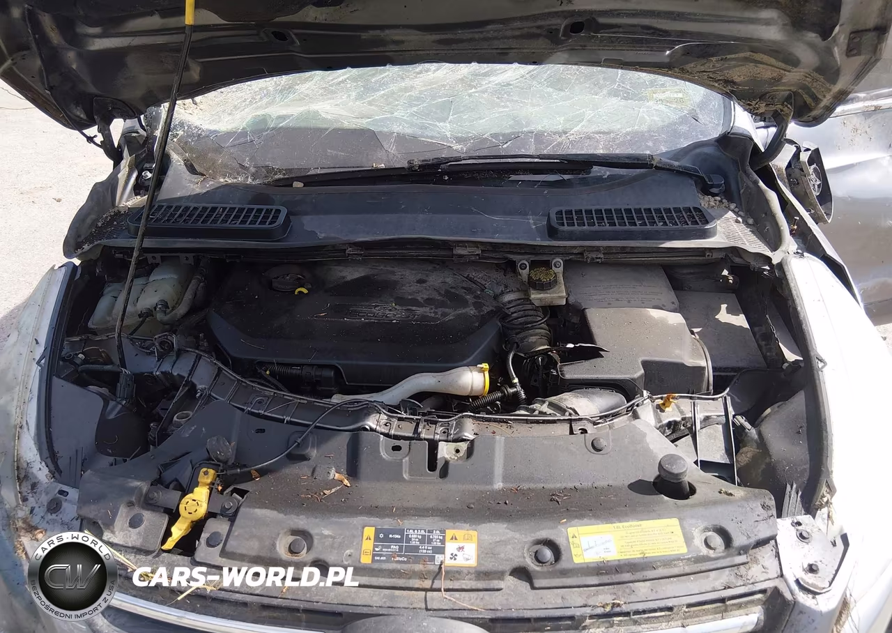 2014 Ford Escape Se VIN:1FMCU9GX1EUA05986 - 10