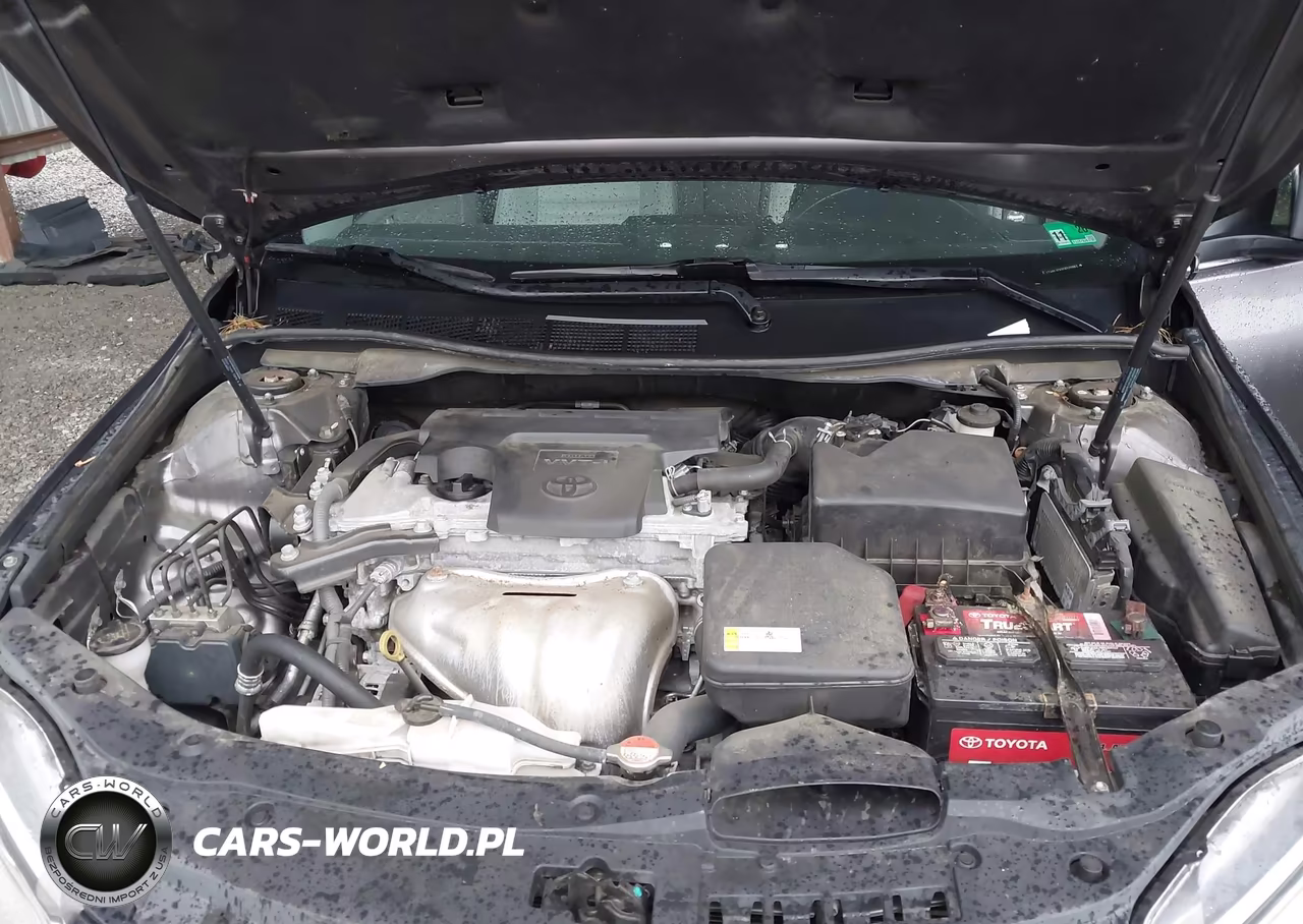 2016 Toyota Camry Xle VIN:4T4BF1FK9GR520983 - 10