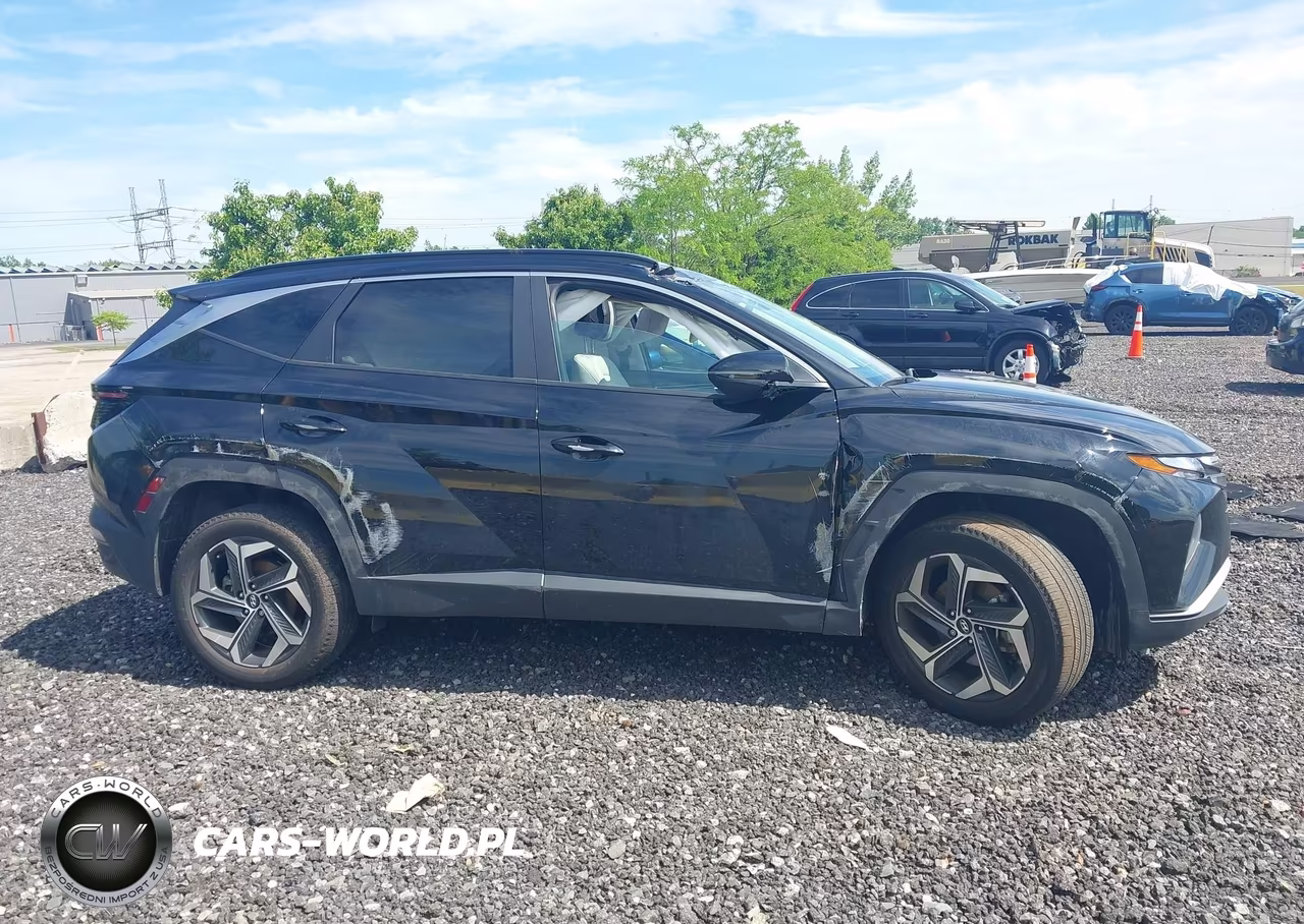 2024 Hyundai Tucson Sel VIN:5NMJFCDE1RH380974 - 13