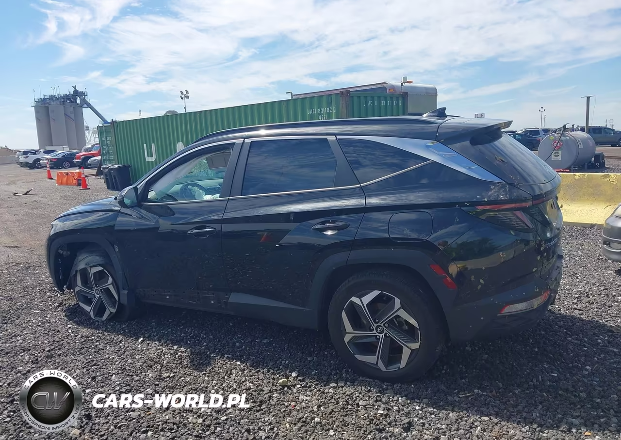2024 Hyundai Tucson Sel VIN:5NMJFCDE1RH380974 - 14