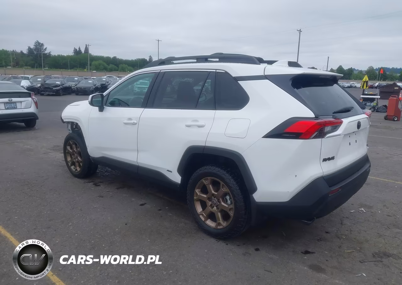 2023 Toyota Rav4 Hybrid Woodland Edition VIN:2T3UWRFV9PW173495 - 3