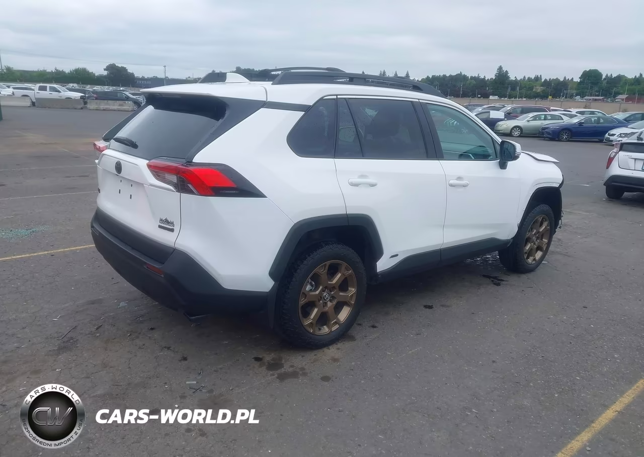 2023 Toyota Rav4 Hybrid Woodland Edition VIN:2T3UWRFV9PW173495 - 4