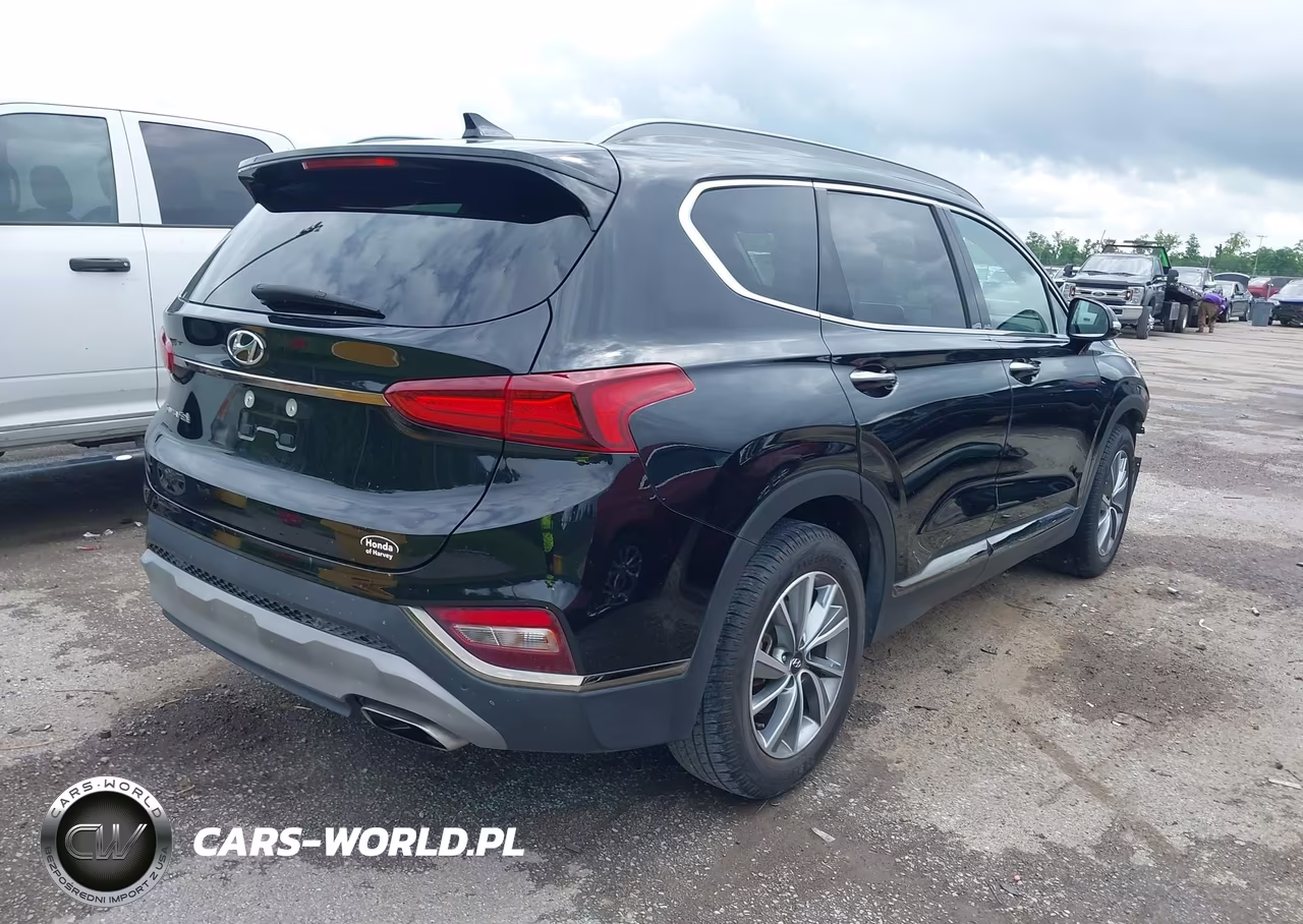 2019 Hyundai Santa Fe Ultimate VIN:5NMS53ADXKH050260 - 4