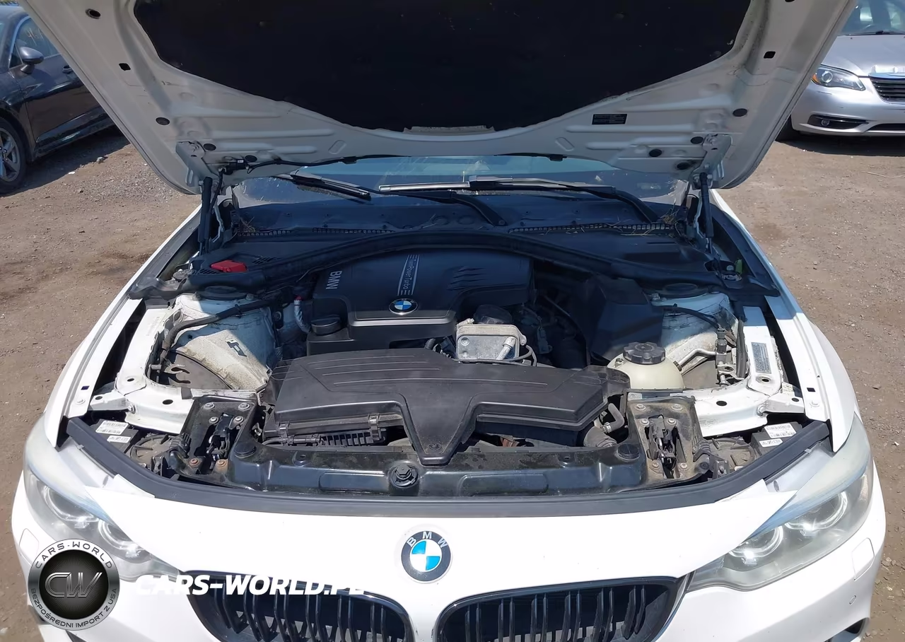 2014 BMW 428I xDrive VIN:WBA3N9C55EK244584 - 10